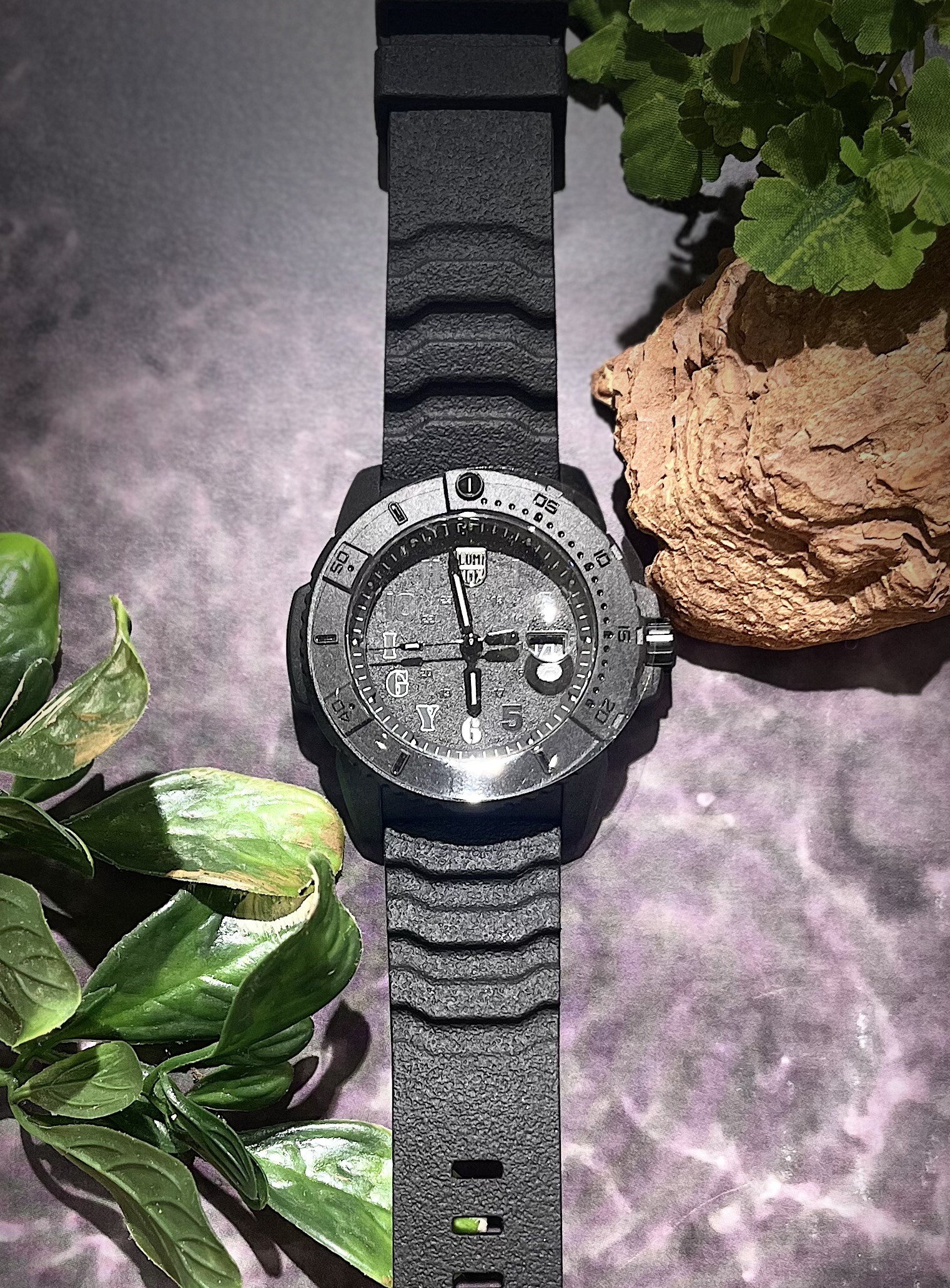 maichi様せ AmiAmi [Character & Hobby Shop] | 1/43 Toyota LANDCRUISER