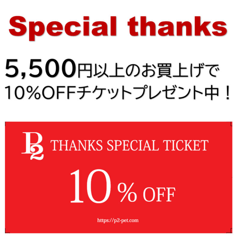 10% OFFクーポンプレゼント！！ │P2 │ ショップブログ │ アミュプラザ長崎
