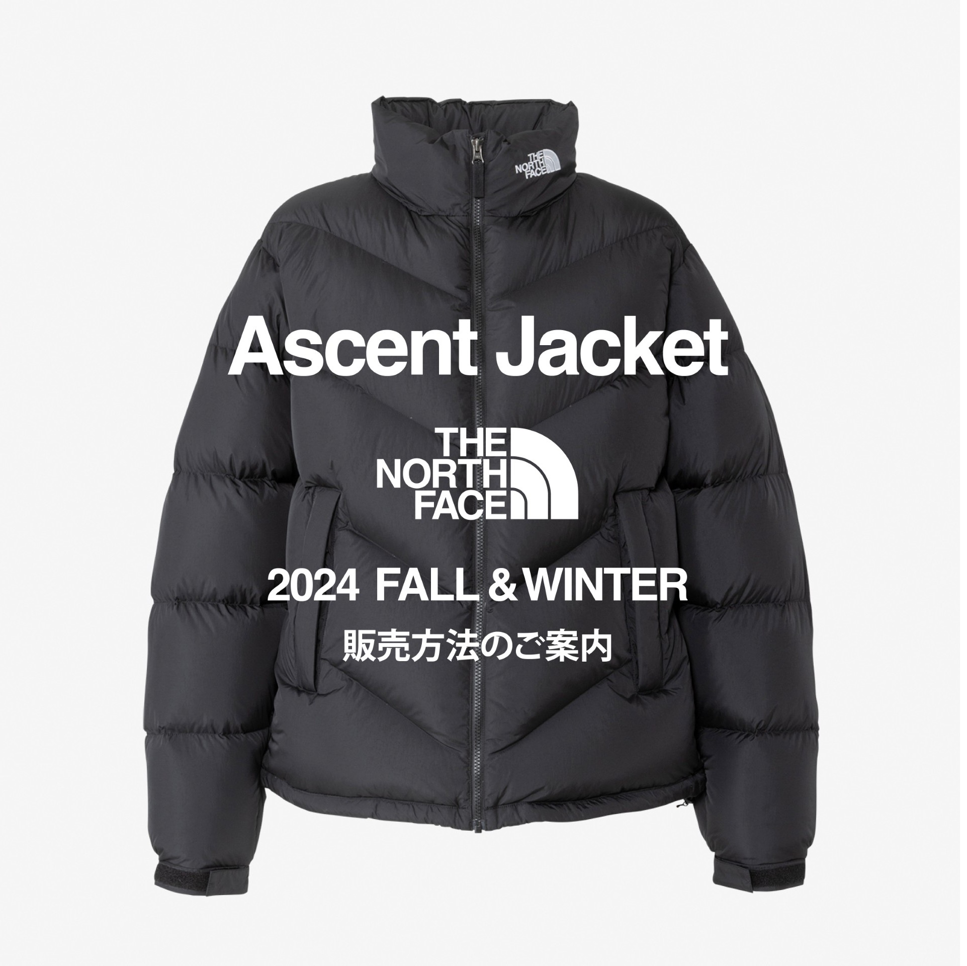 Amazon.co.jp: [THE NORTH FACE (ザ・ノースフェイス)] ASCENT