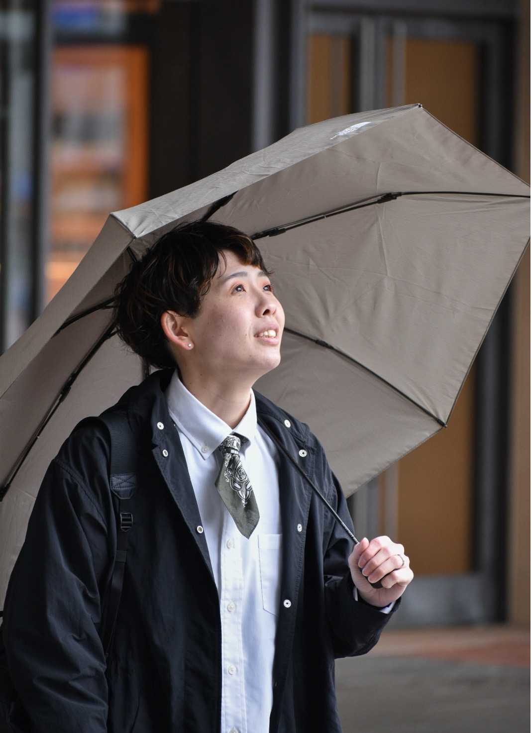 THE NORTH FACE 折りたたみ傘 ブラック THE NORTH FACE ザ・ノース・フェイス 折りたたみ傘 晴雨兼用 UV