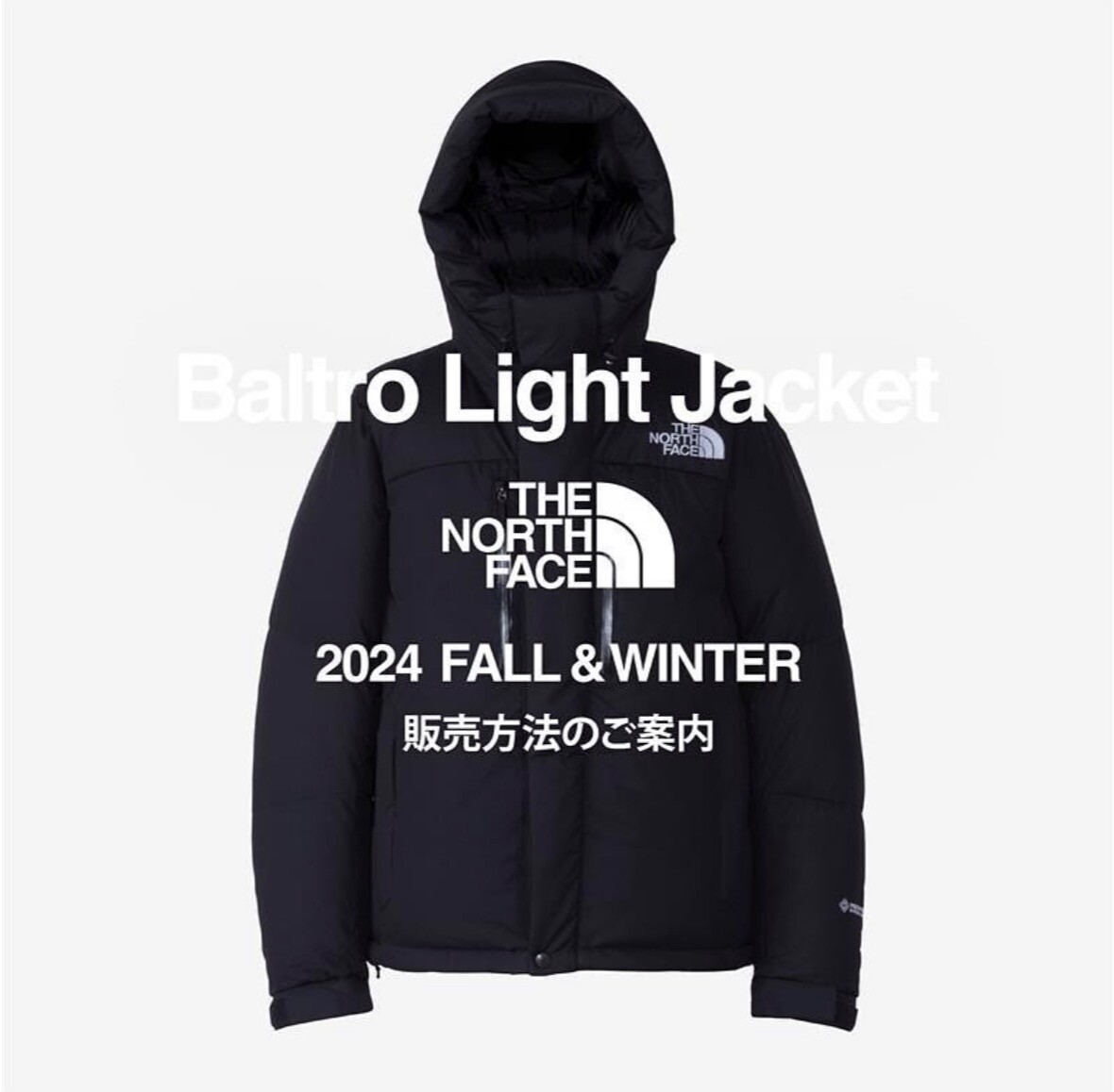 BALTRO LIGHT JACKET発売開始!! │ザ・ノース・フェイス プラス