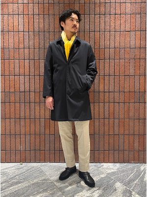 シップス
