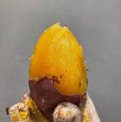 【予告】「芋と野菜」が期間限定オープン！