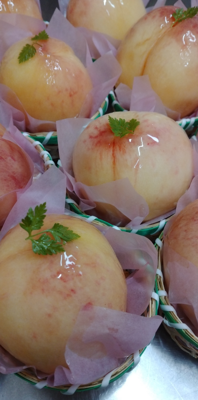 季節限定！桃のタルト販売中♪