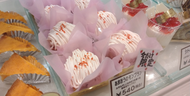 一足先早く春を感じてみませんか♪