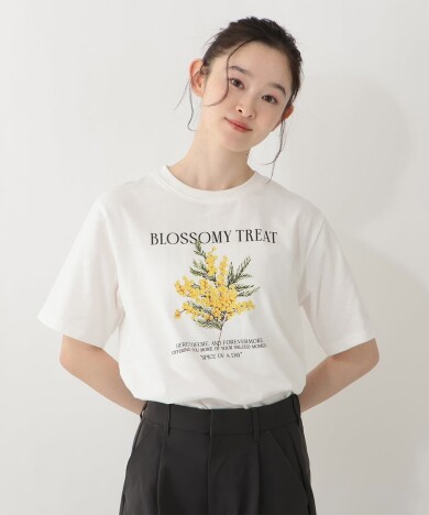 着心地にこだわった綿100%のTシャツコレクション