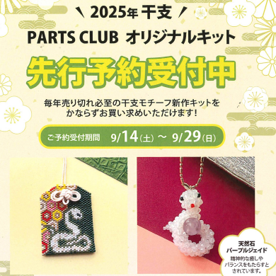 【先行ご予約受付開始！】2025年干支キットのご案内です♪