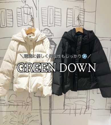 ダウンのご紹介