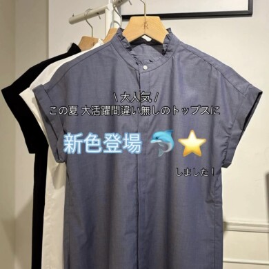 大人気トップスに新色登場🐬⭐️