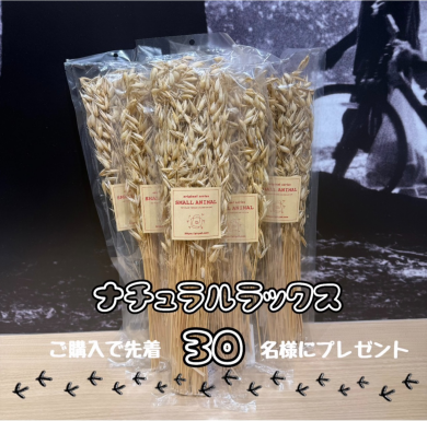 オーツの穂プレゼント✨