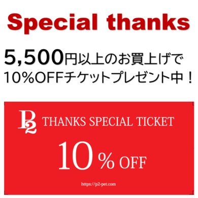 10% OFFクーポンプレゼント！！
