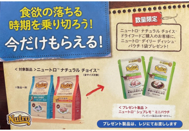 ネコちゃん用パウチプレゼント！