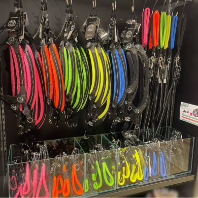 ペット用ハーネス、リードをご紹介します！