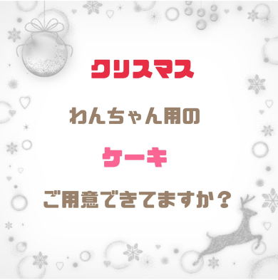 🎅わんちゃんと一緒にクリスマスパーティー🎄
