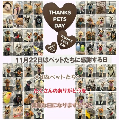 THANKS PETS DAY