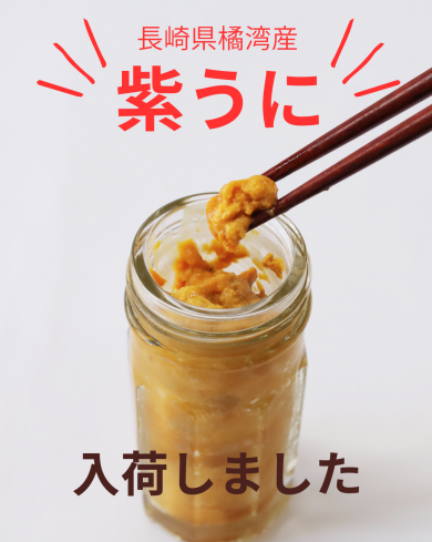 【数量限定】紫うに、販売開始しました