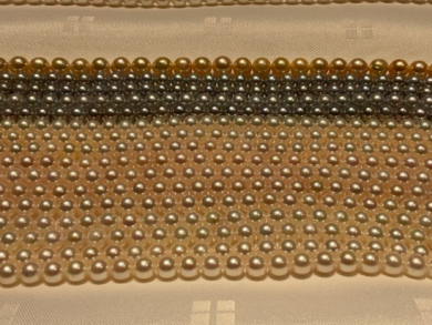 2/13-15限定　【CACHER】パールフェア