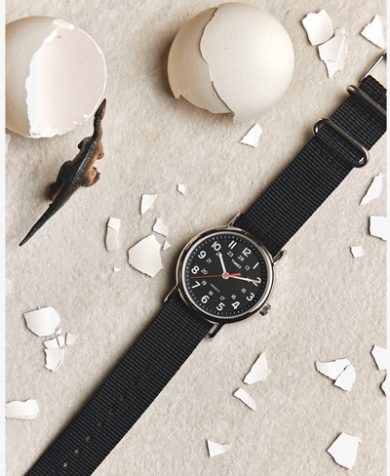洗えるベルト【TIMEX】