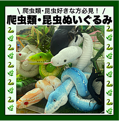 🌟爬虫類・昆虫ぬいぐるみ入荷🌟