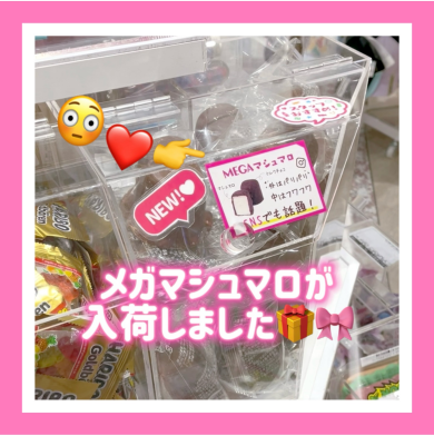 💝メガマシュマロ入荷しました💝