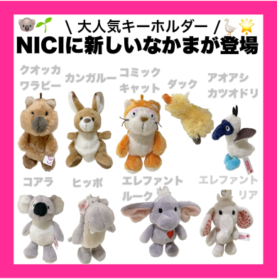 NICIに新しい仲間が登場！
