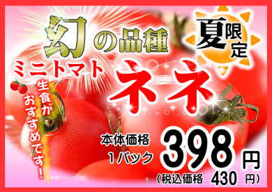 6/28初入荷！！幻の品種フルーツミニトマト『ネネ』🍅