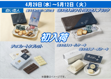 【予告】ついに白い恋人販売スタートいたします！！