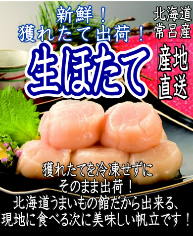 北海道常呂産『生ほたて』初入荷！！