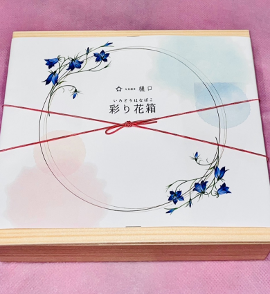 夏限定お弁当のご紹介