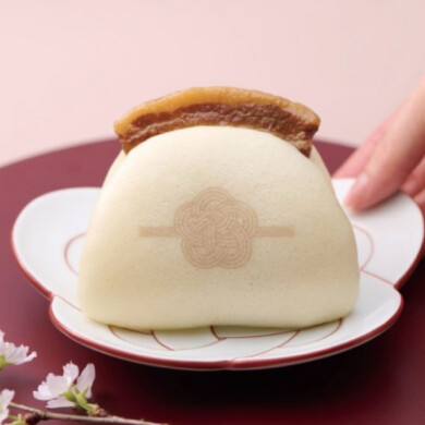 ╲春の送料キャンペーン開催／