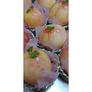 季節限定！桃のタルト販売中♪