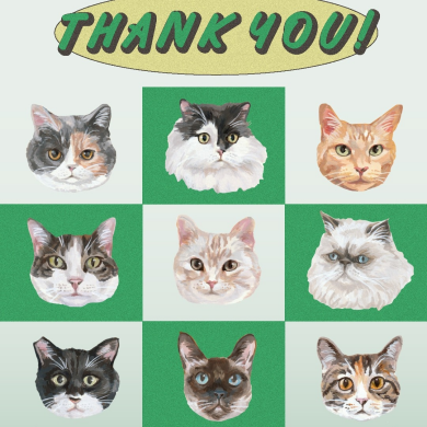 2/18発売スタート！Cat's NapTimeシリーズ第12弾！