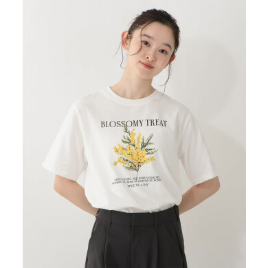 着心地にこだわった綿100%のTシャツコレクション