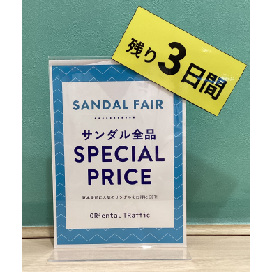 ⚠️もう間も無く終了‼️Special price⚠️