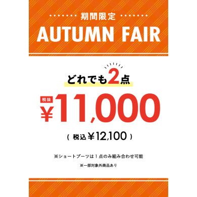 2点¥11,000(税抜)‼️