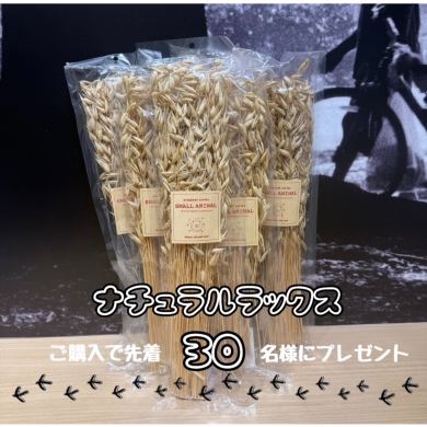 オーツの穂プレゼント✨