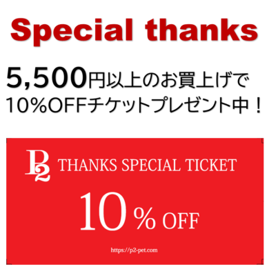 10% OFFクーポンプレゼント！！