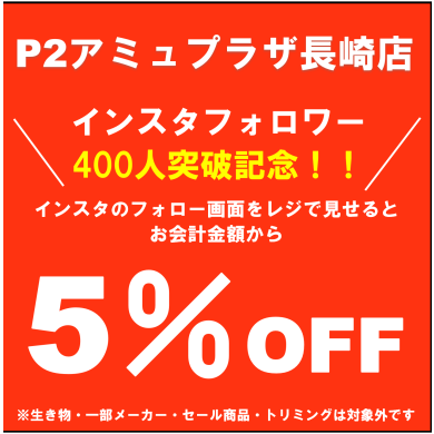 インスタフォローで商品5％OFF！！
