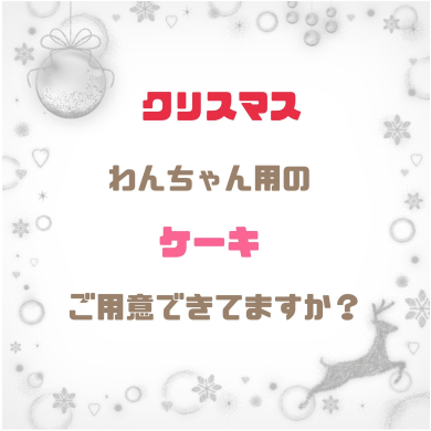 🎅わんちゃんと一緒にクリスマスパーティー🎄