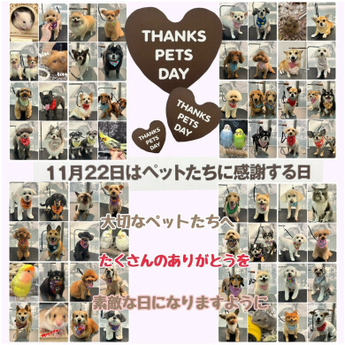 THANKS PETS DAY