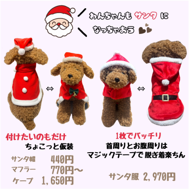 クリスマスグッズ入荷してます🎅🏻