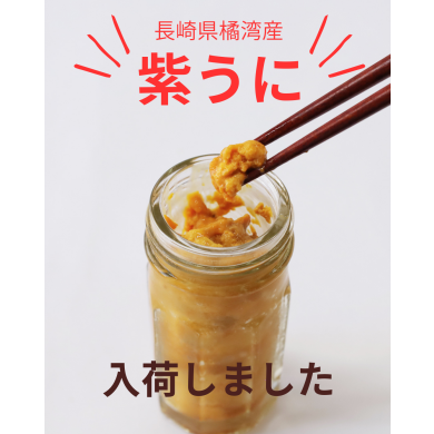 【数量限定】紫うに、販売開始しました