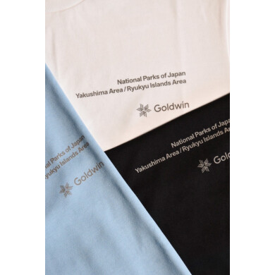 GOLDWIN別注Tシャツ入荷致しました！