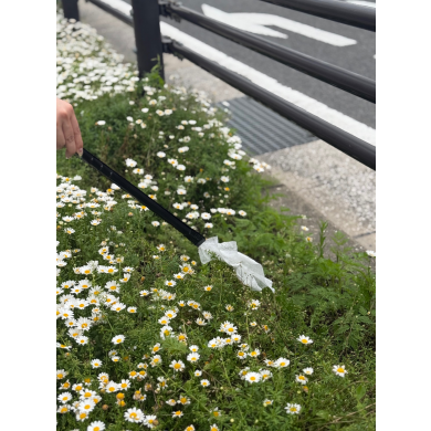 清掃活動を行いました！