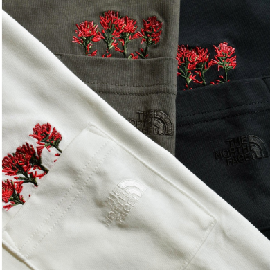 THE NORTH FACE新作Tシャツ入荷‼︎