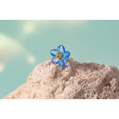 Nemophila | ネモフィラ