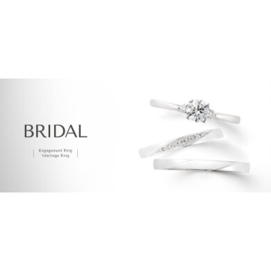 BLOOM BRIDAL | 新デザイン登場💍✨