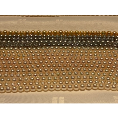 2/13-15限定　【CACHER】パールフェア