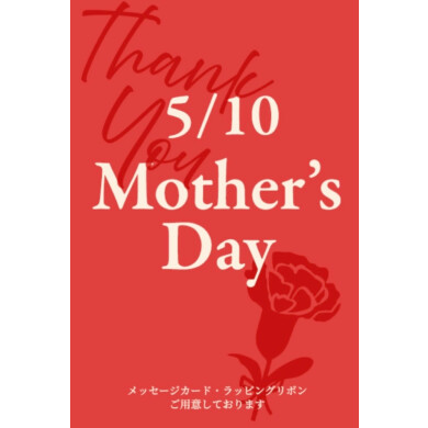 Mother’s Day 🌹