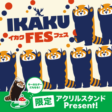 【イカク フェス開催！】